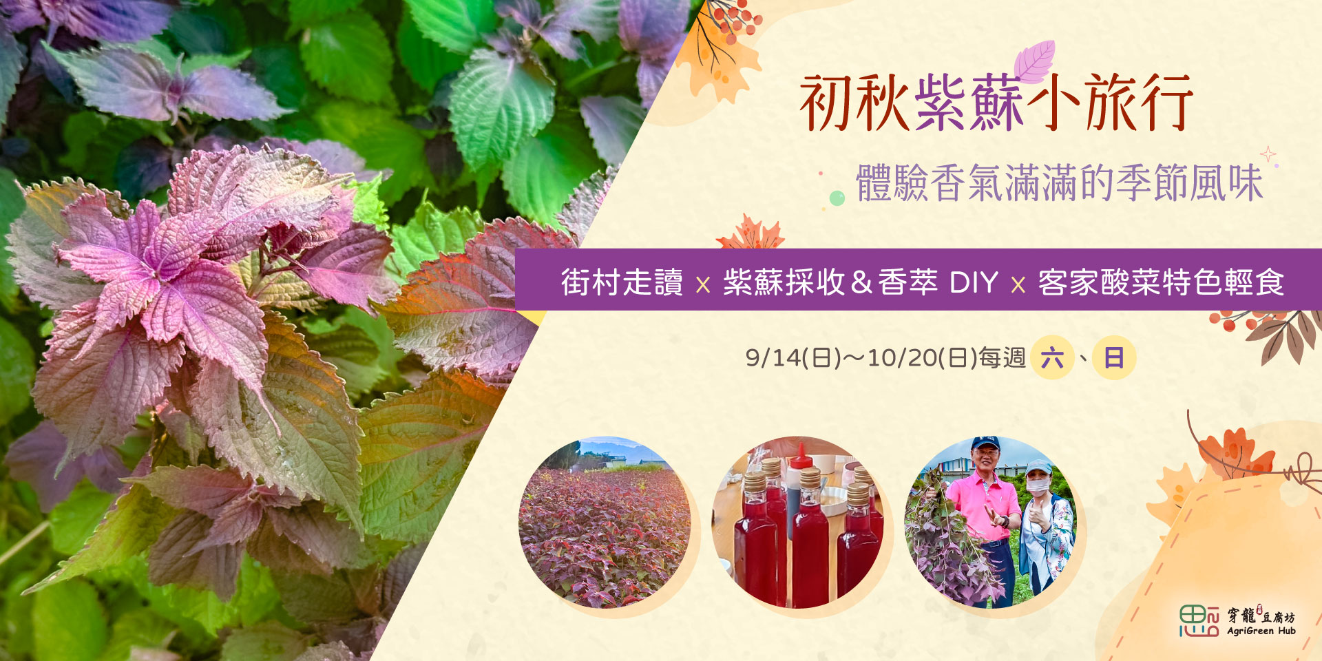 紫蘇小旅行-另開新視窗